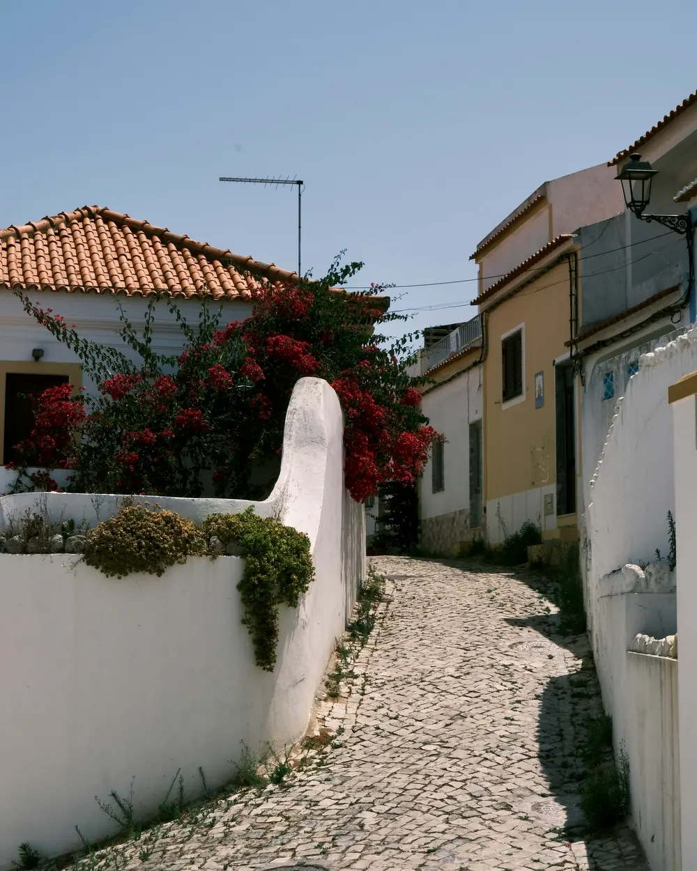 A sunny cobbled lane in a Portuguese town, lined with whitewashed walls, terracotta roofs and red bougainvillea